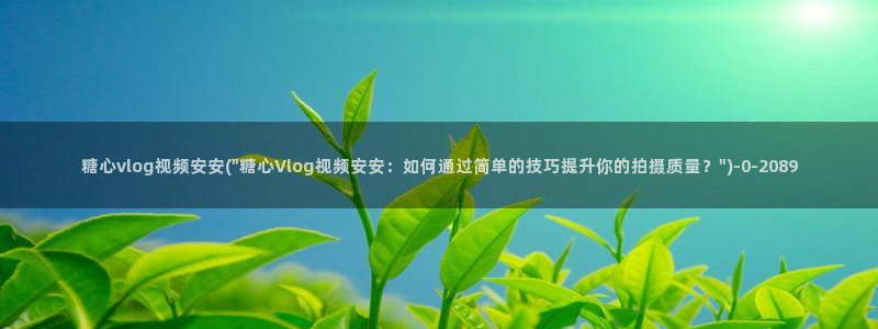 糖心vlog诗诗