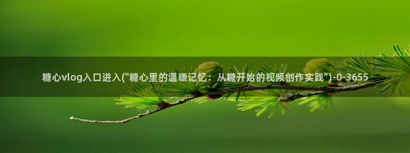 糖心vlog里面的CC