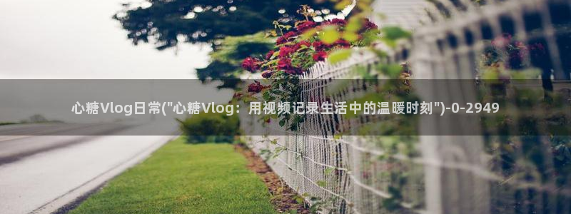 糖心下载汅vlog